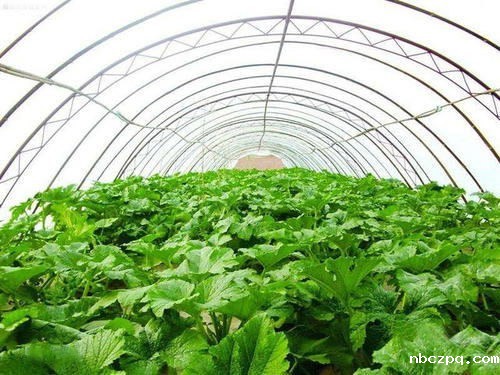 米兰足球高赔竞猜